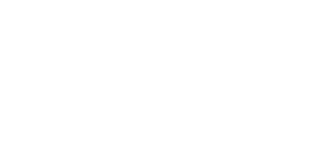 APF France handicap