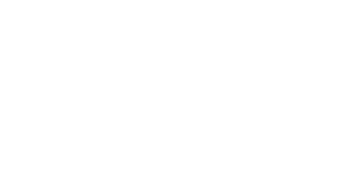 APF France handicap