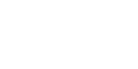 MagVille